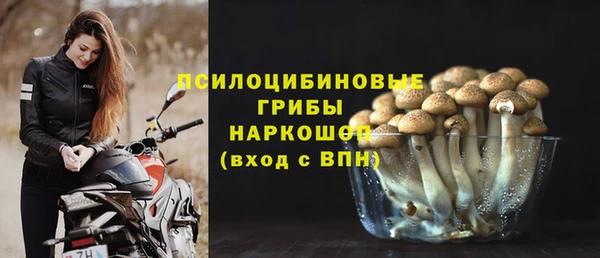 прущая мука Коряжма