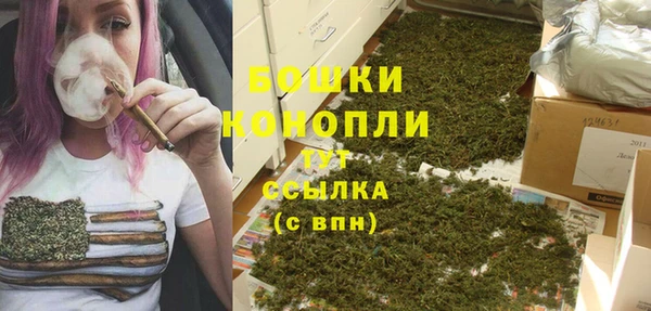 ECSTASY Кодинск