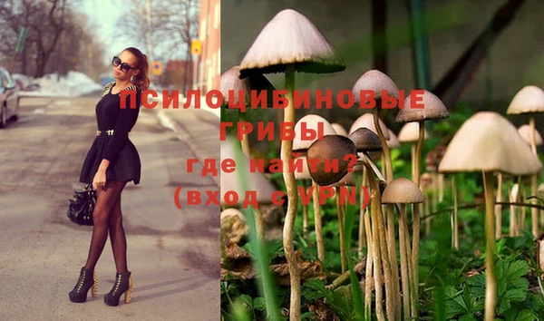 каннабис Козельск