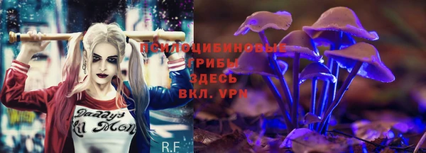мдпв Корсаков