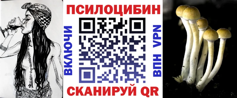 Галлюциногенные грибы MAGIC MUSHROOMS  Купить где  Ивантеевка 
